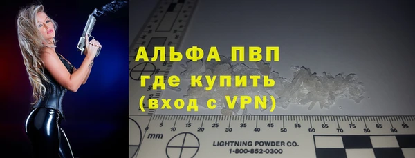 индика Дмитровск