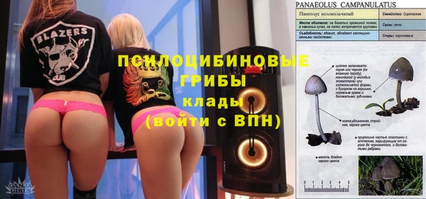 спиды Алзамай