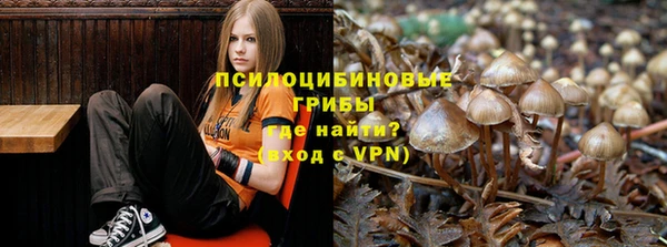 спиды Алзамай
